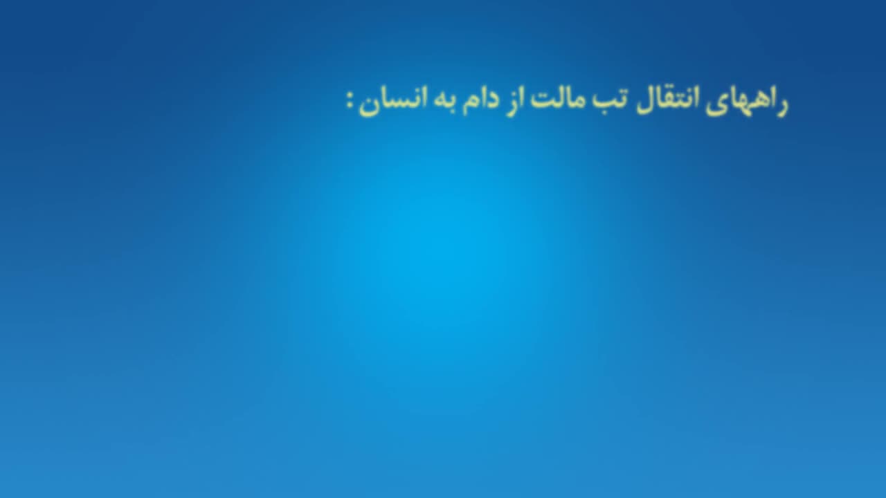 کلیپ آموزشی تب مالت